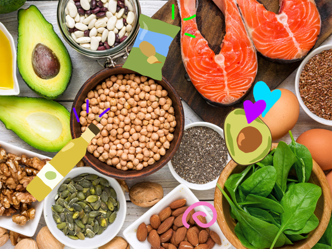 A Deep Dive into Fats: The Essential Nutrient for Health and Vitality ...